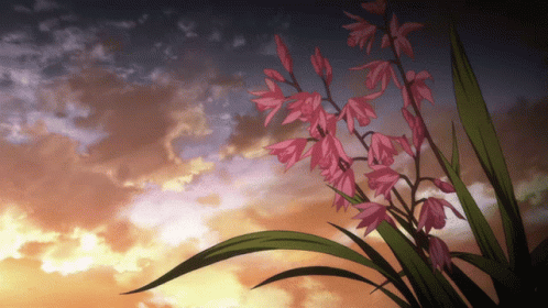animation ideas of incorporating nature, pink flowers with long leaves blowing in the breeze whilst the clouds move fairly quickly in the sunset above