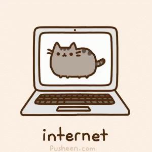 happy cat boucing up and down on a laptop screen with the word internet below it