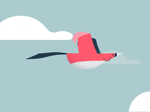 an animated pink bird flying through the clouds very smoothly 