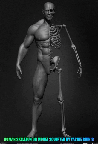 what is a rigger? they create characters from the skeleton up such as this man character