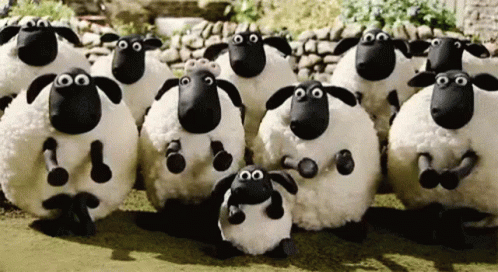 a herd of animated sheep created out of clay and all clapping with some of them looking at each other