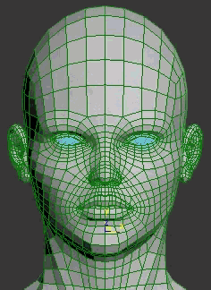 a grip map over a animated persons face showing the areas of movement such as the eyes and mouth and the grid disappears and shows the person talking